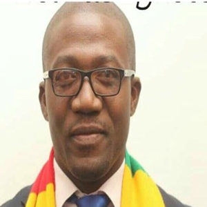 Hon. Nqobizita Mangaliso Ndlovu